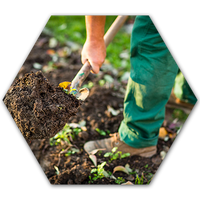 Professioneller Garten- und Landschaftsbau der Firma PutzEngel aus Herzebrock-Clarholz